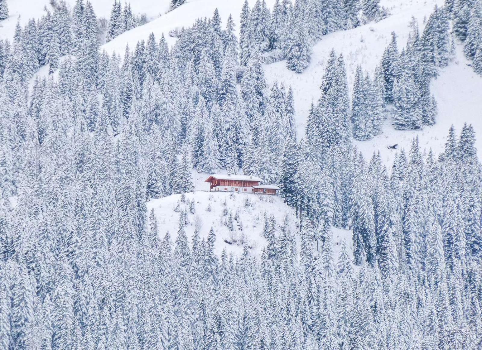 Alpenchalets Biberwier Zugspitze By Alps Resorts מראה חיצוני תמונה